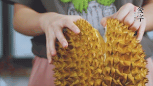 榴蓮剝好肉后，搗成泥狀。