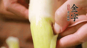 茭白剝?nèi)ネ鈿?，先切片再切絲。