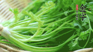 挑選鮮嫩的香菜，洗干凈后，處理成小段。