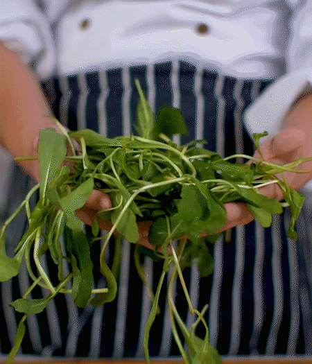 馬蘭頭焯水，切成細(xì)末。