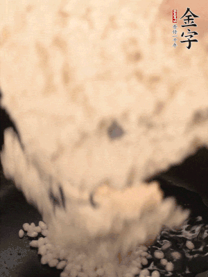 浸泡半天的糯米電飯鍋煮熟。